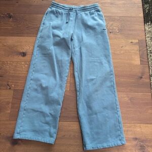 Aritzia Blue Wide Leg Pants